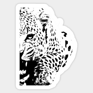 Leopard  B&W Sticker